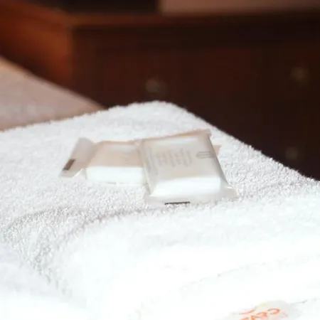 Goscinne Wislna 4* Krakow